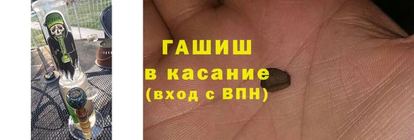 ПСИЛОЦИБИНОВЫЕ ГРИБЫ Ельня