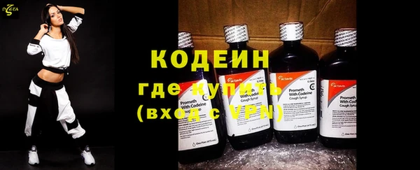 ПСИЛОЦИБИНОВЫЕ ГРИБЫ Ельня