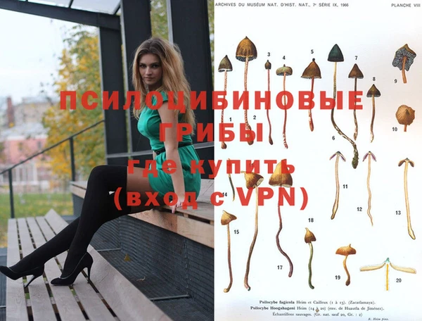 PSILOCYBIN Елизово
