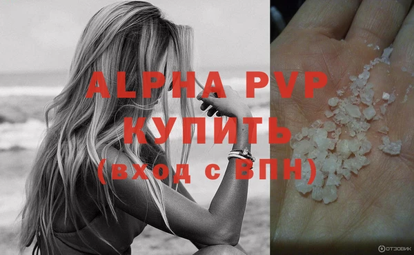 ПСИЛОЦИБИНОВЫЕ ГРИБЫ Ельня