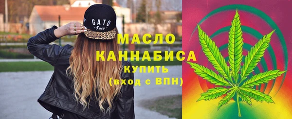 ПСИЛОЦИБИНОВЫЕ ГРИБЫ Ельня