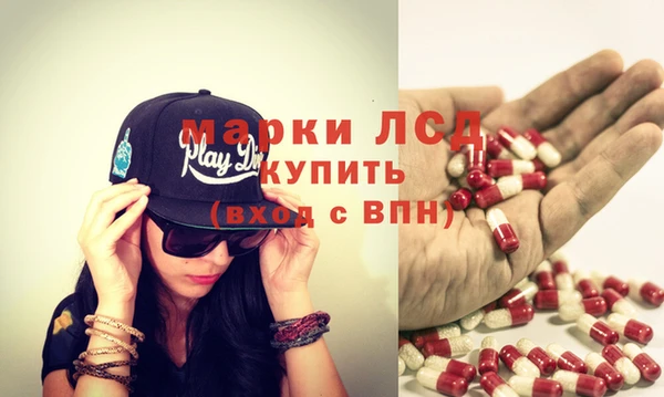 ПСИЛОЦИБИНОВЫЕ ГРИБЫ Ельня