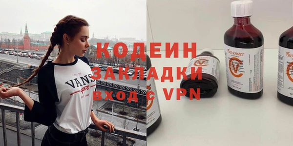 ПСИЛОЦИБИНОВЫЕ ГРИБЫ Ельня