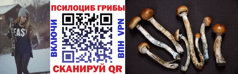 МЕГА ссылка  цена наркотик  Камень-на-Оби  Псилоцибиновые грибы Magic Shrooms 